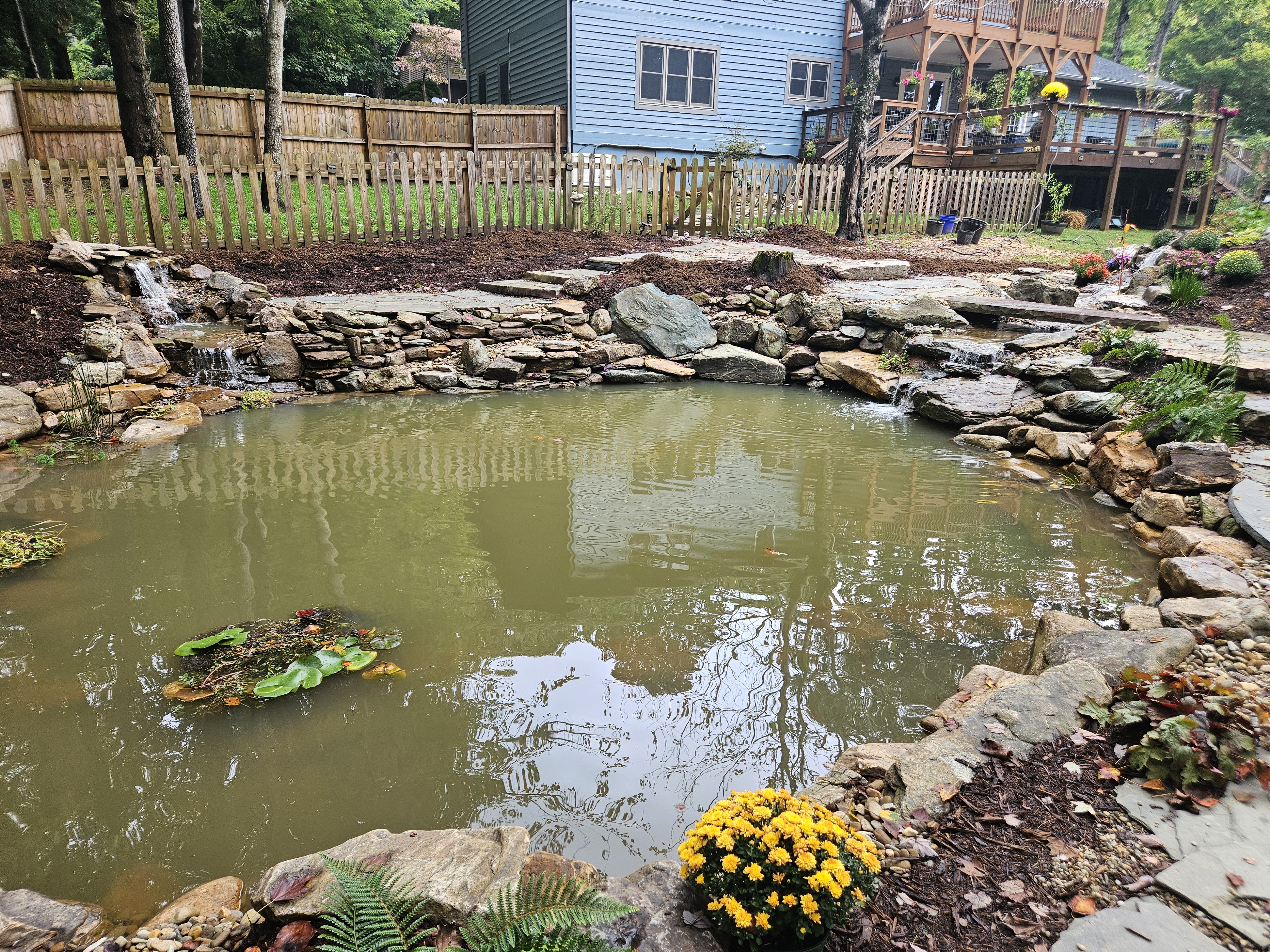 What to Know Before Starting a Pond Project